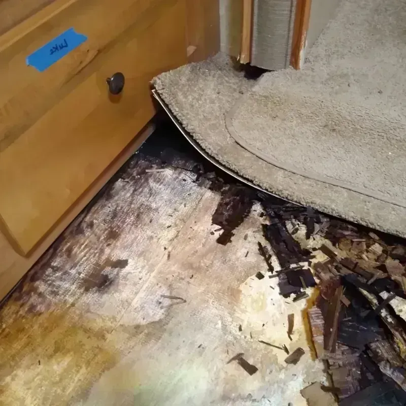 Wood Floor Water Damage in Powell, WY